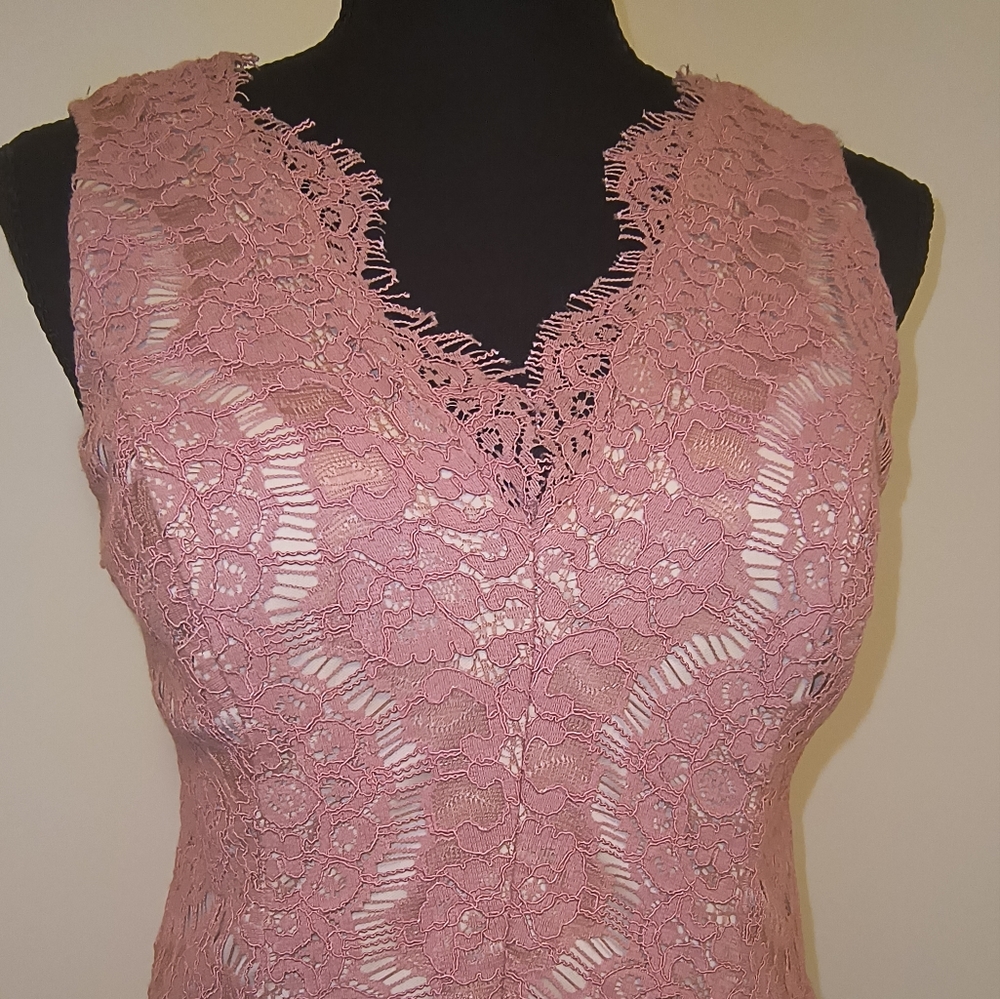 Francesca's V-Neck Low Back Dusty Rose Pink Lace Tulle Dress Size Small - Picture 8 of 16